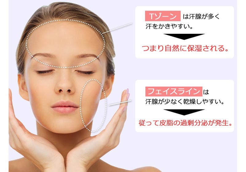 Tゾーンは汗腺が多く汗をかきやすい。つまり自然に保湿される。フェイスラインは汗腺が少なく乾燥しやすい。従って皮脂の過剰分泌が発生。
